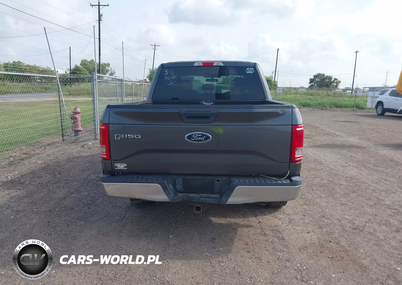 2016 Ford F-150 Xlt VIN:1FTEW1EP0GFC17457 - 17