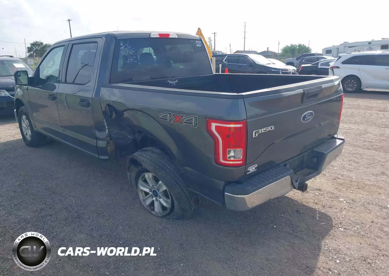 2016 Ford F-150 Xlt VIN:1FTEW1EP0GFC17457 - 3