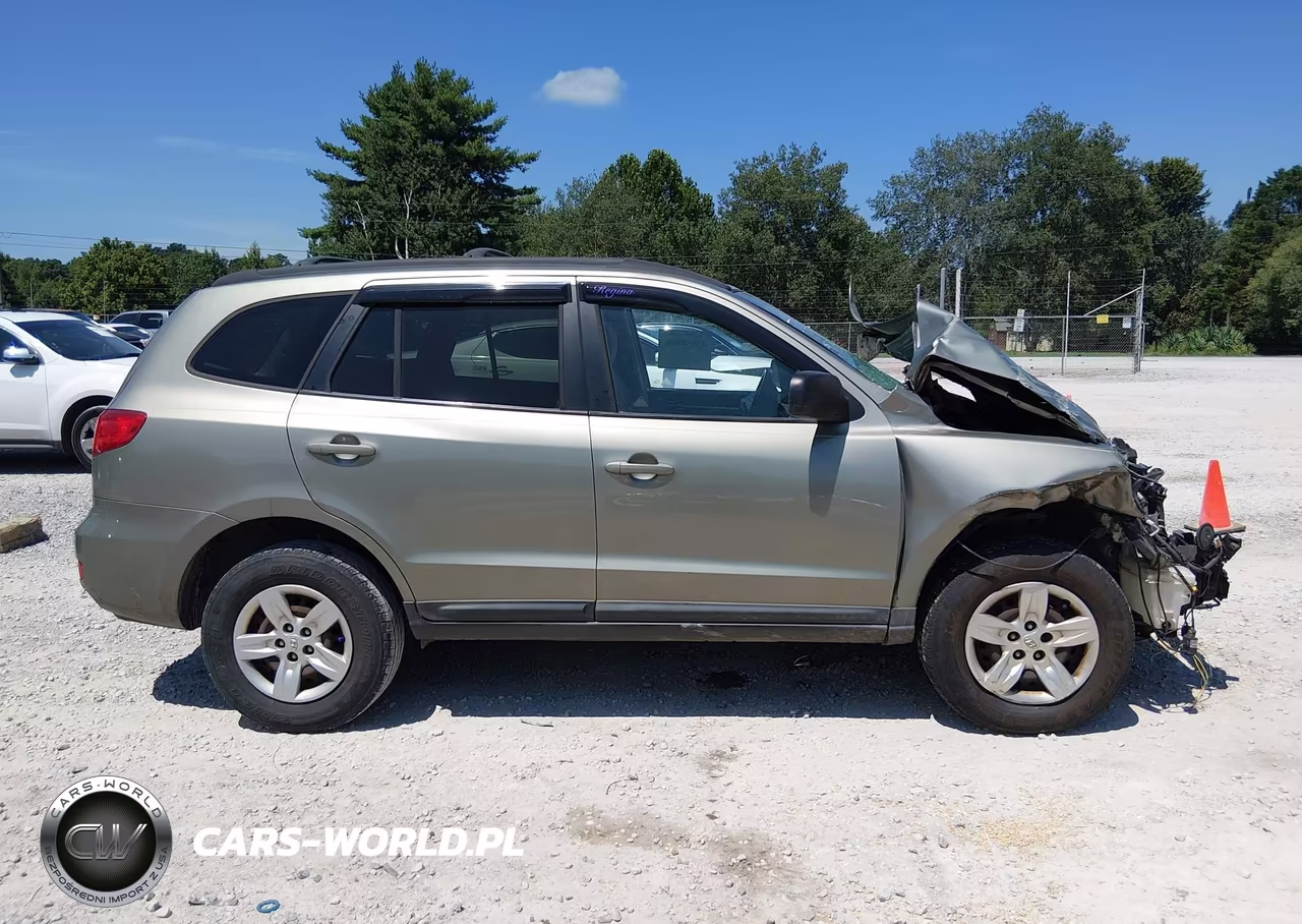 2009 Hyundai Santa Fe Gls VIN:5NMSG13D59H307413 - 13