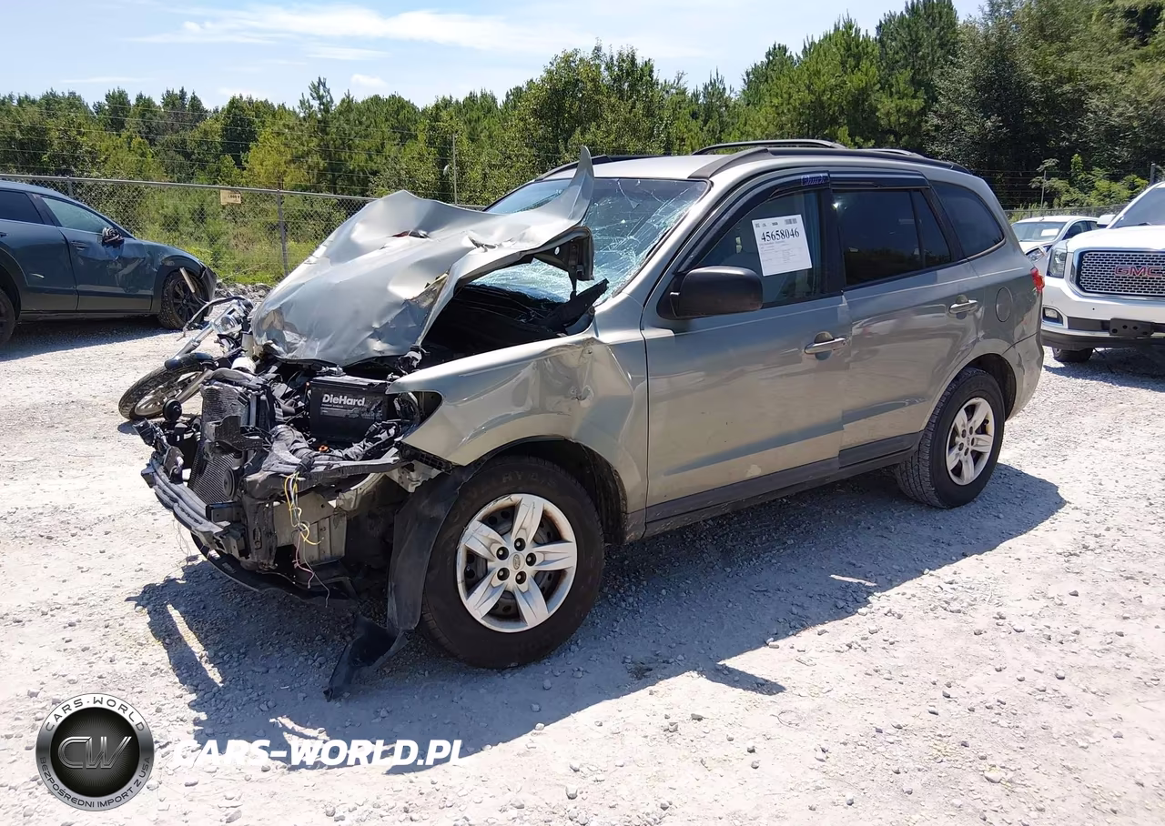 2009 Hyundai Santa Fe Gls VIN:5NMSG13D59H307413 - 2