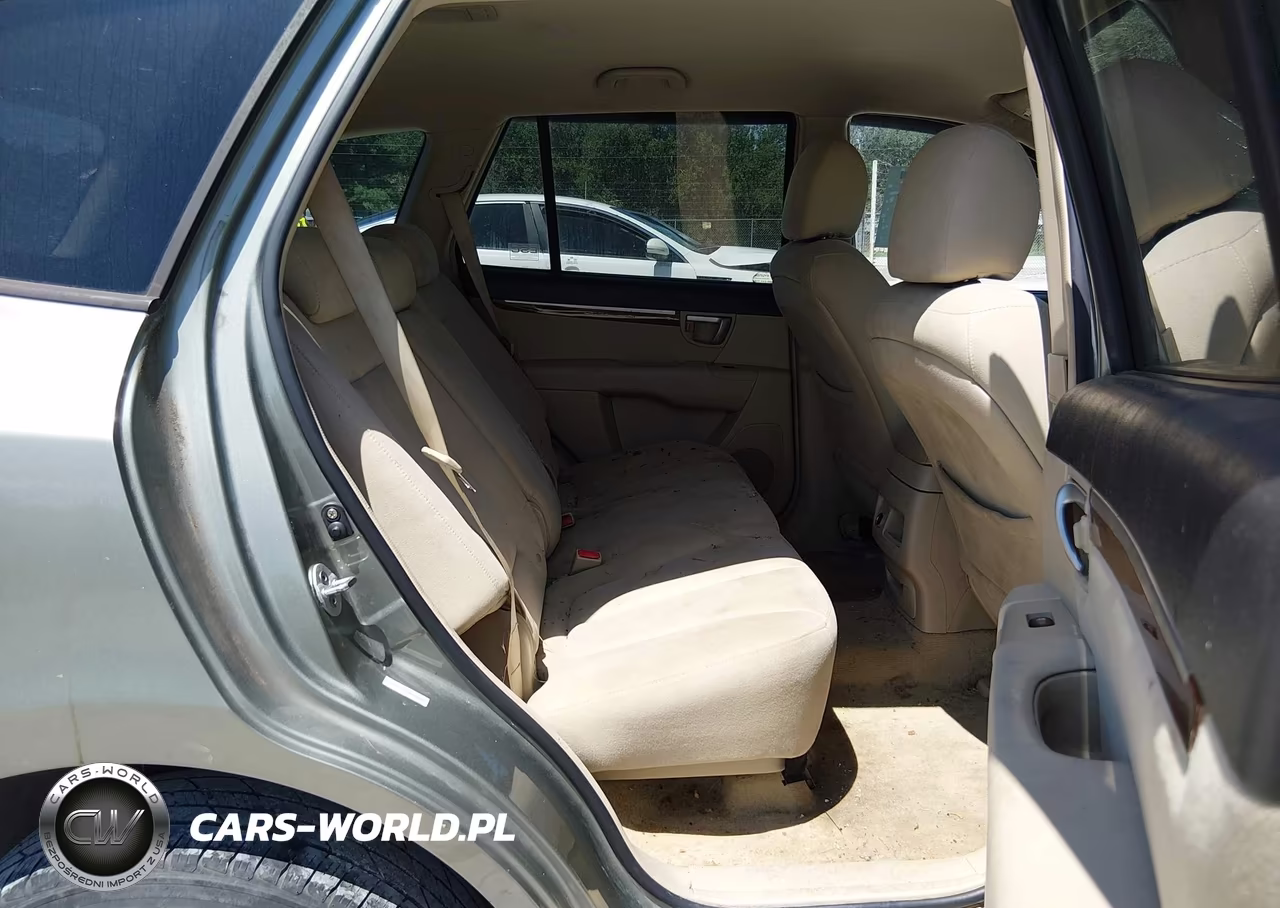 2009 Hyundai Santa Fe Gls VIN:5NMSG13D59H307413 - 8