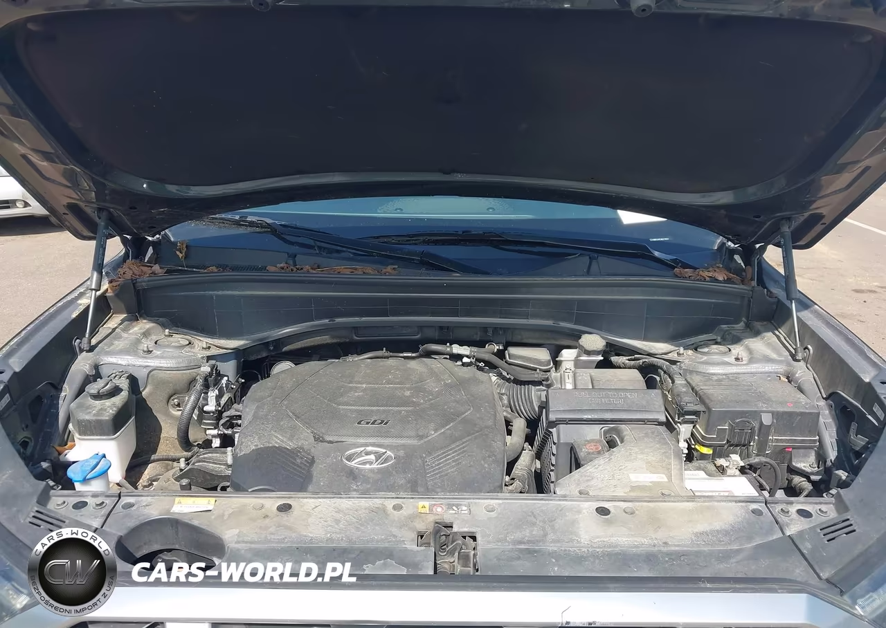 2021 Hyundai Palisade Sel VIN:KM8R24HEXMU279654 - 10