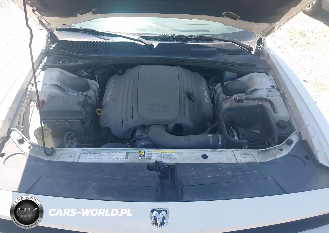 2010 Dodge Challenger R-T VIN:2B3CJ5DT0AH166920 - 10
