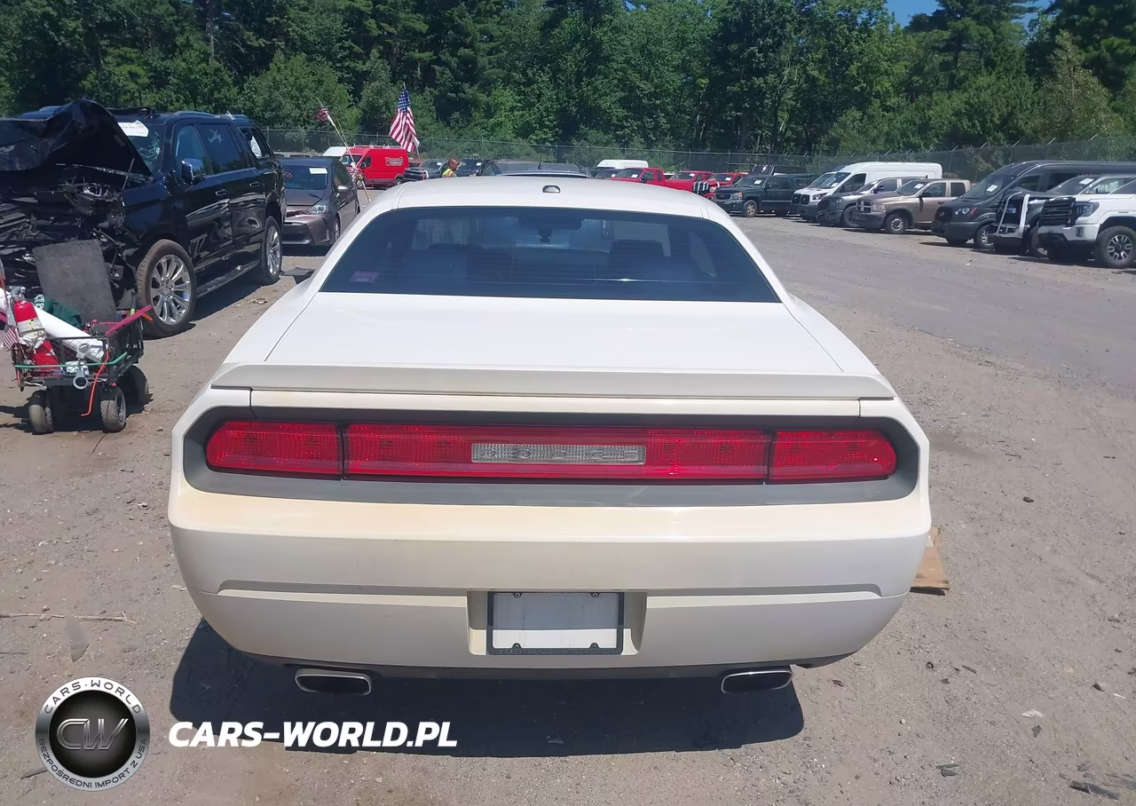 2010 Dodge Challenger R-T VIN:2B3CJ5DT0AH166920 - 16