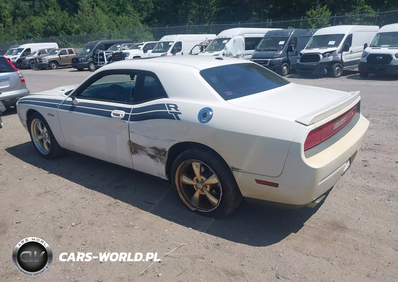 2010 Dodge Challenger R-T VIN:2B3CJ5DT0AH166920 - 3