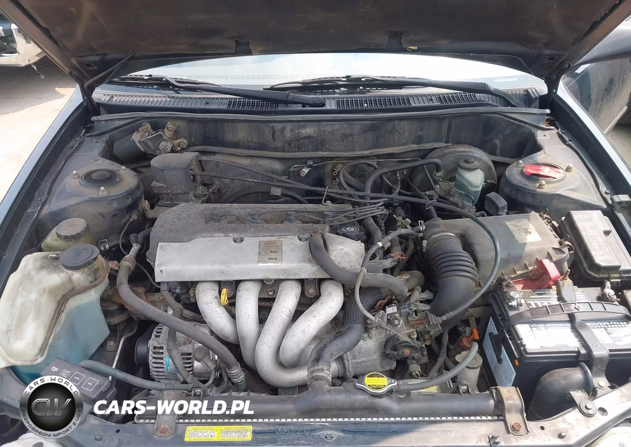 1999 Toyota Corolla Ce VIN:2T1BR12E7XC215226 - 10