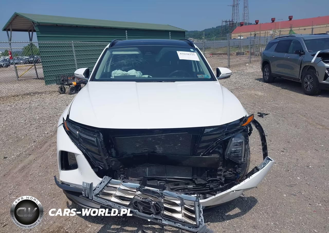 2023 Hyundai Tucson Limited VIN:5NMJECAE5PH233805 - 12