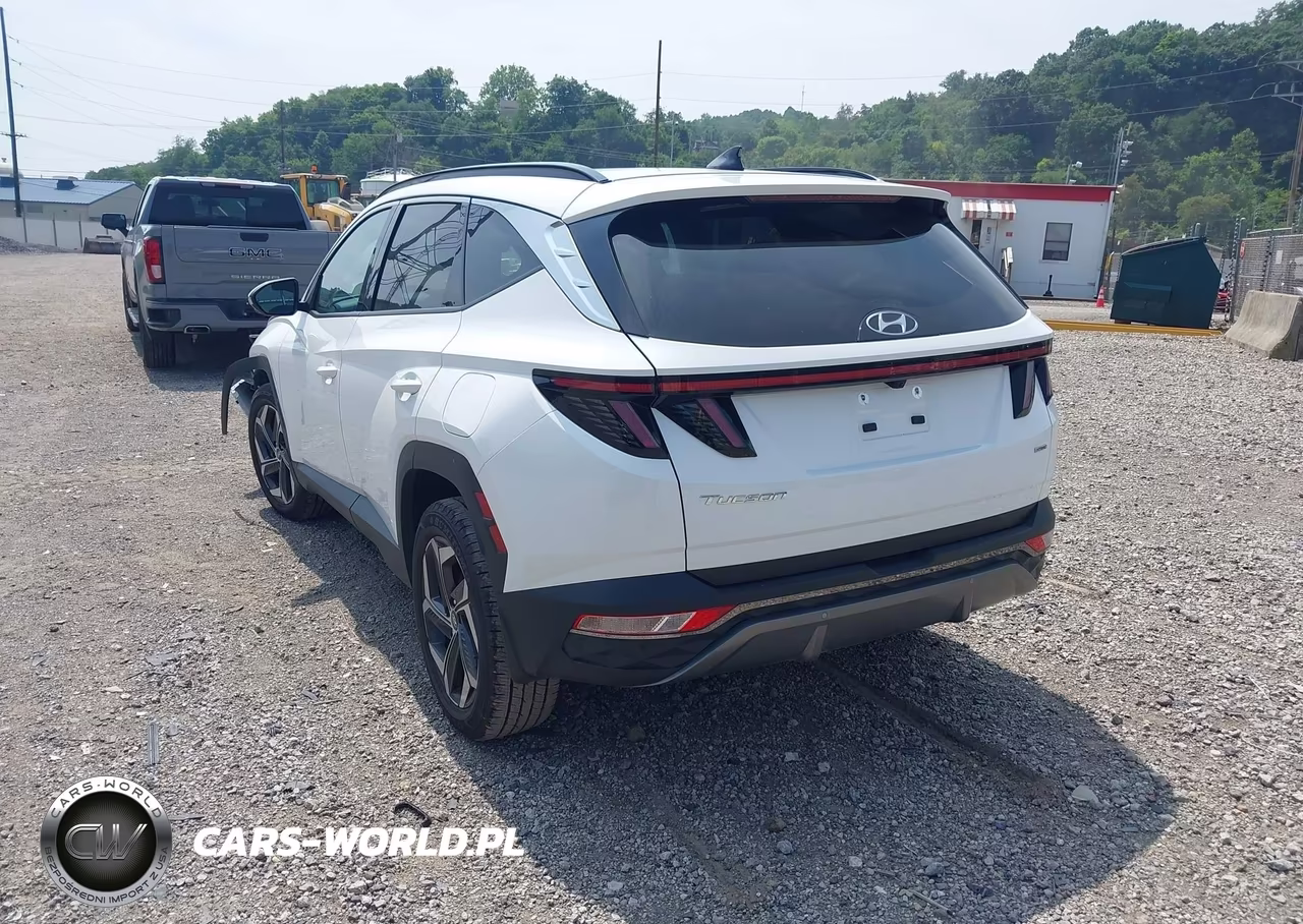 2023 Hyundai Tucson Limited VIN:5NMJECAE5PH233805 - 3