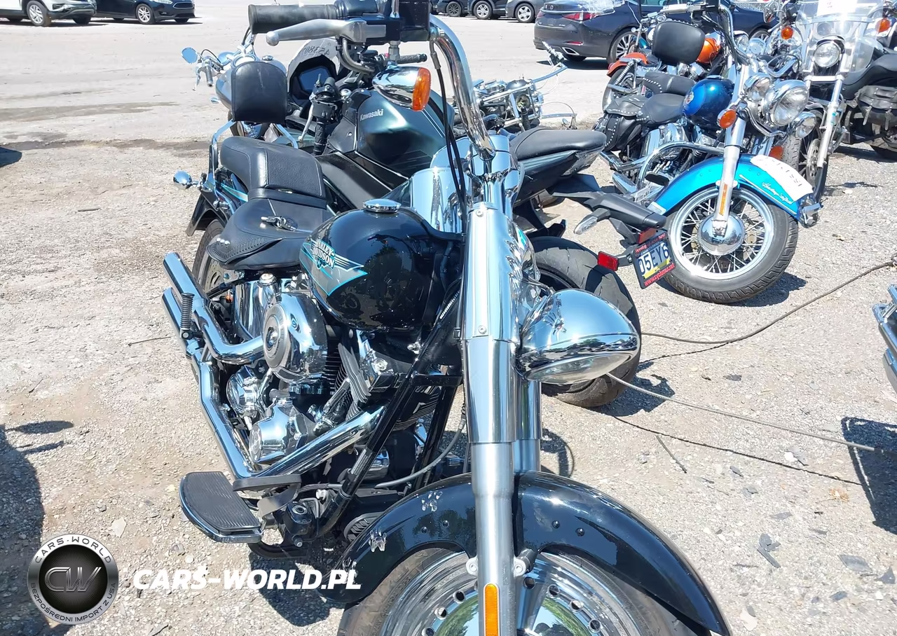 2010 Harley-Davidson Flstf VIN:1HD1BX511AB032419 - 1