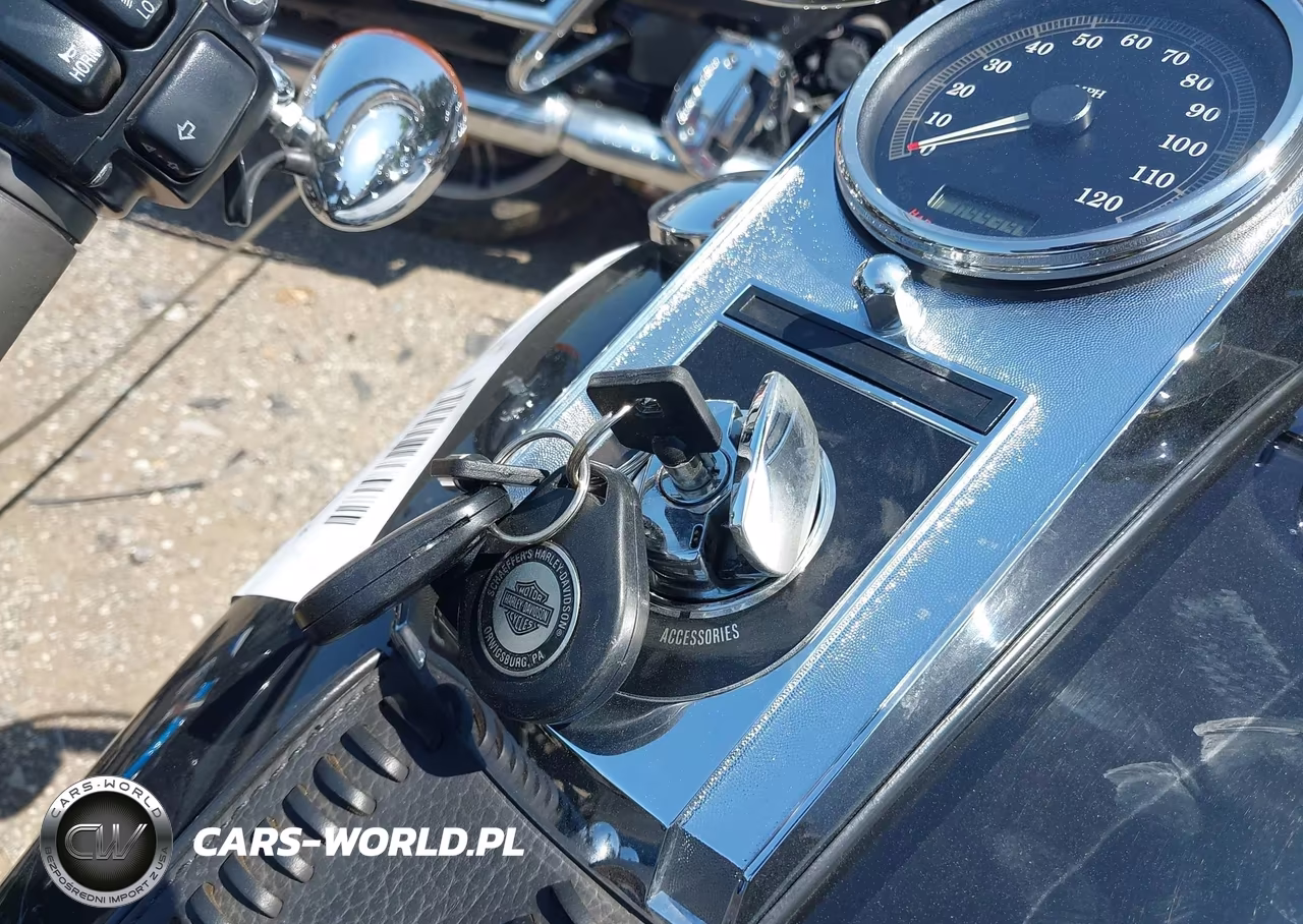 2010 Harley-Davidson Flstf VIN:1HD1BX511AB032419 - 11
