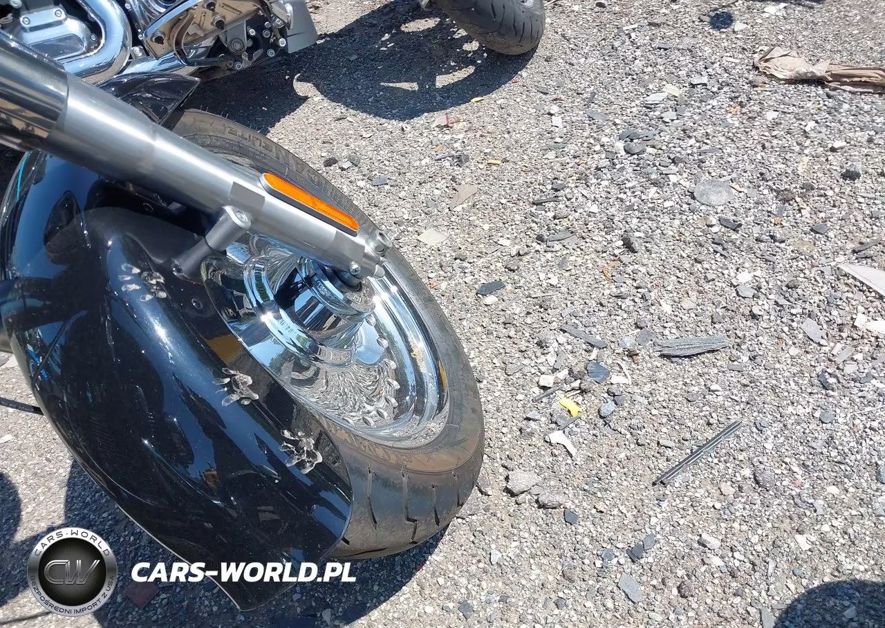 2010 Harley-Davidson Flstf VIN:1HD1BX511AB032419 - 12