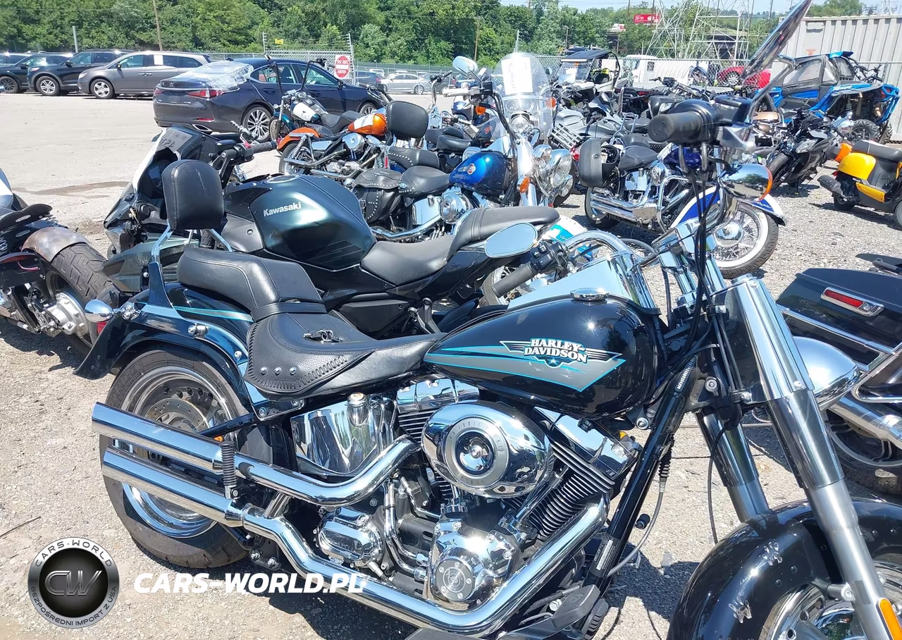 2010 Harley-Davidson Flstf VIN:1HD1BX511AB032419 - 13