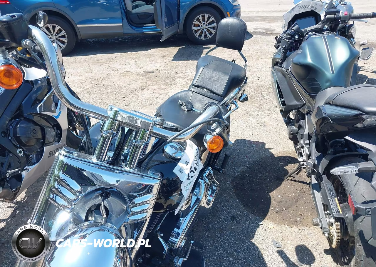 2010 Harley-Davidson Flstf VIN:1HD1BX511AB032419 - 2