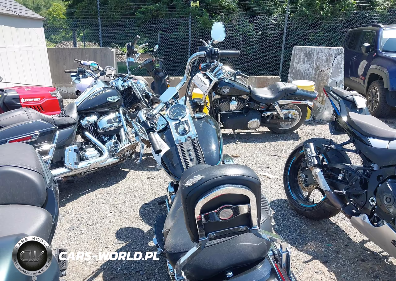 2010 Harley-Davidson Flstf VIN:1HD1BX511AB032419 - 3