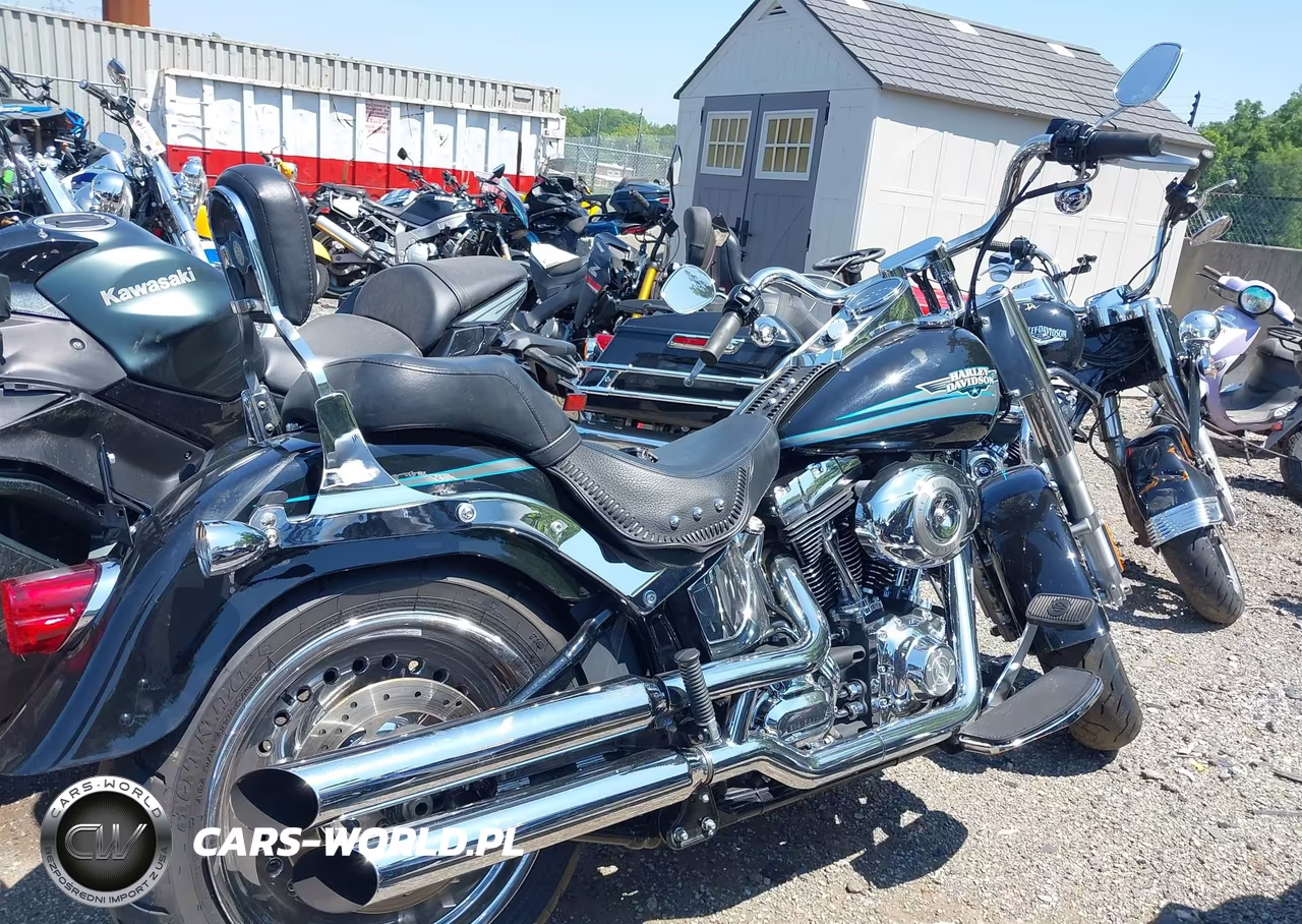 2010 Harley-Davidson Flstf VIN:1HD1BX511AB032419 - 4