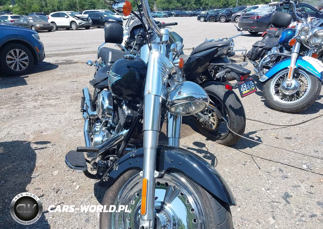 2010 Harley-Davidson Flstf VIN:1HD1BX511AB032419 - 5