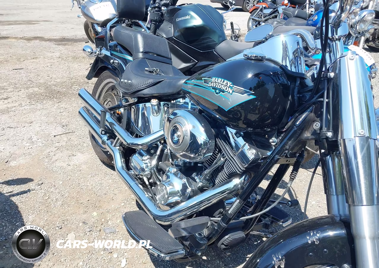 2010 Harley-Davidson Flstf VIN:1HD1BX511AB032419 - 8