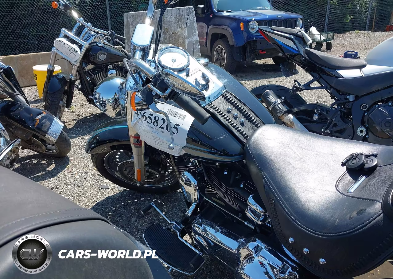 2010 Harley-Davidson Flstf VIN:1HD1BX511AB032419 - 9