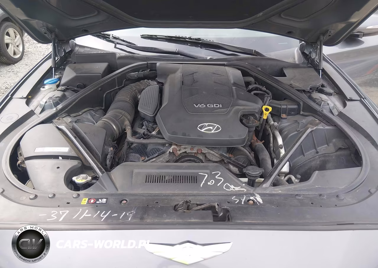 2015 Hyundai Genesis 3.8 VIN:KMHGN4JE3FU099945 - 10