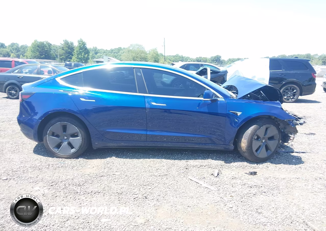 2019 TESLA MODEL 3 LONG RANGE-MID RANGE-STANDARD RANGE-STANDARD RANGE PLUS VIN:5YJ3E1EA8KF447914 - 12
