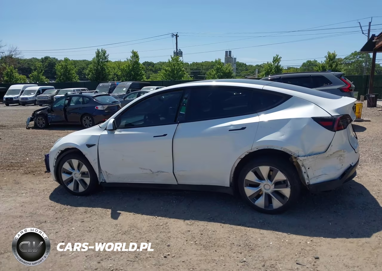 2021 Tesla Model Y Long Range Dual Motor All-Wheel Drive VIN:5YJYGDEE8MF222786 - 12