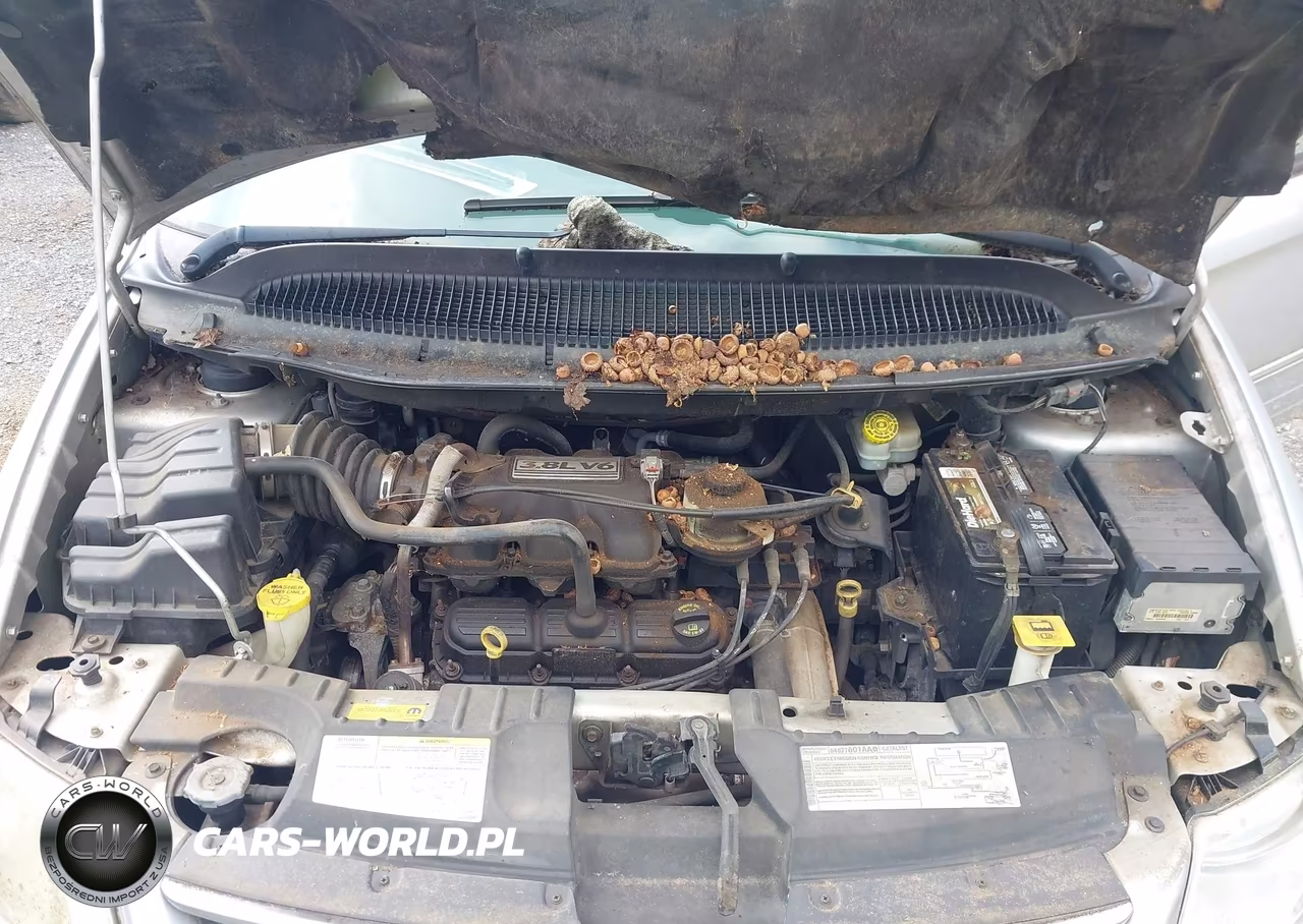 2007 Chrysler Town & Country Limited VIN:2A8GP64L57R160269 - 10