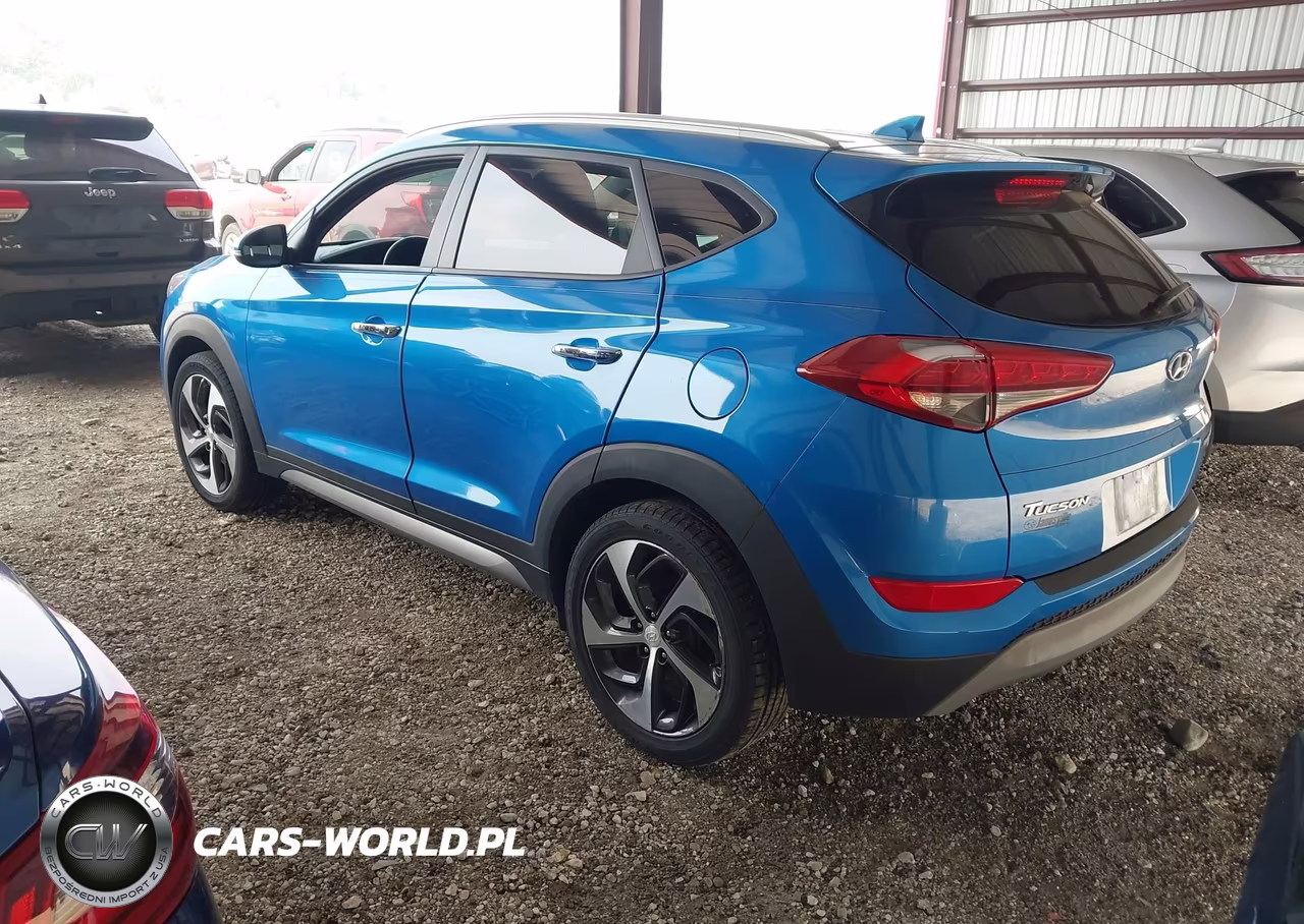 2017 Hyundai Tucson Limited VIN:KM8J3CA21HU304645 - 3