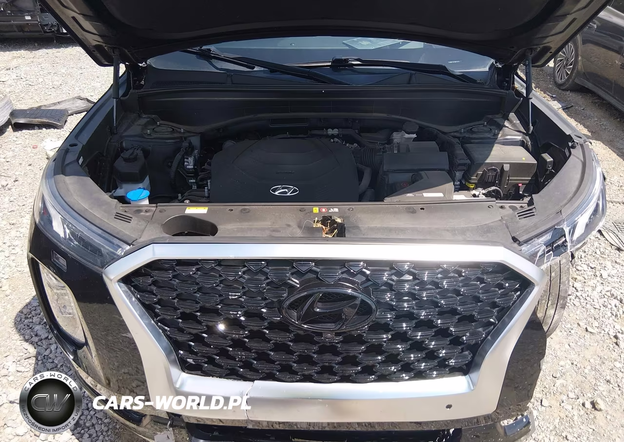2021 Hyundai Palisade Calligraphy VIN:KM8R7DHEXMU195125 - 10