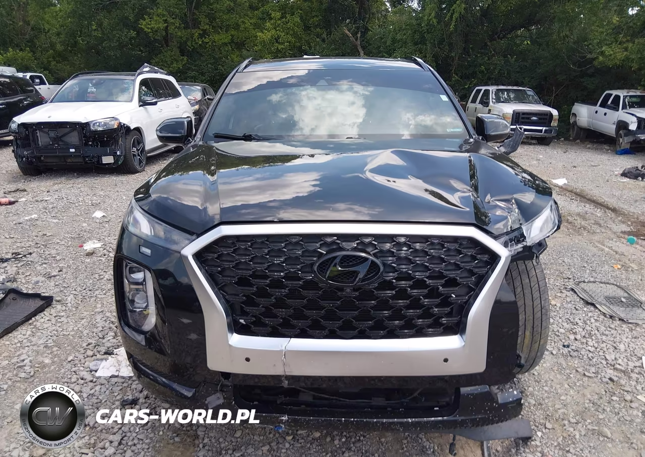 2021 Hyundai Palisade Calligraphy VIN:KM8R7DHEXMU195125 - 12