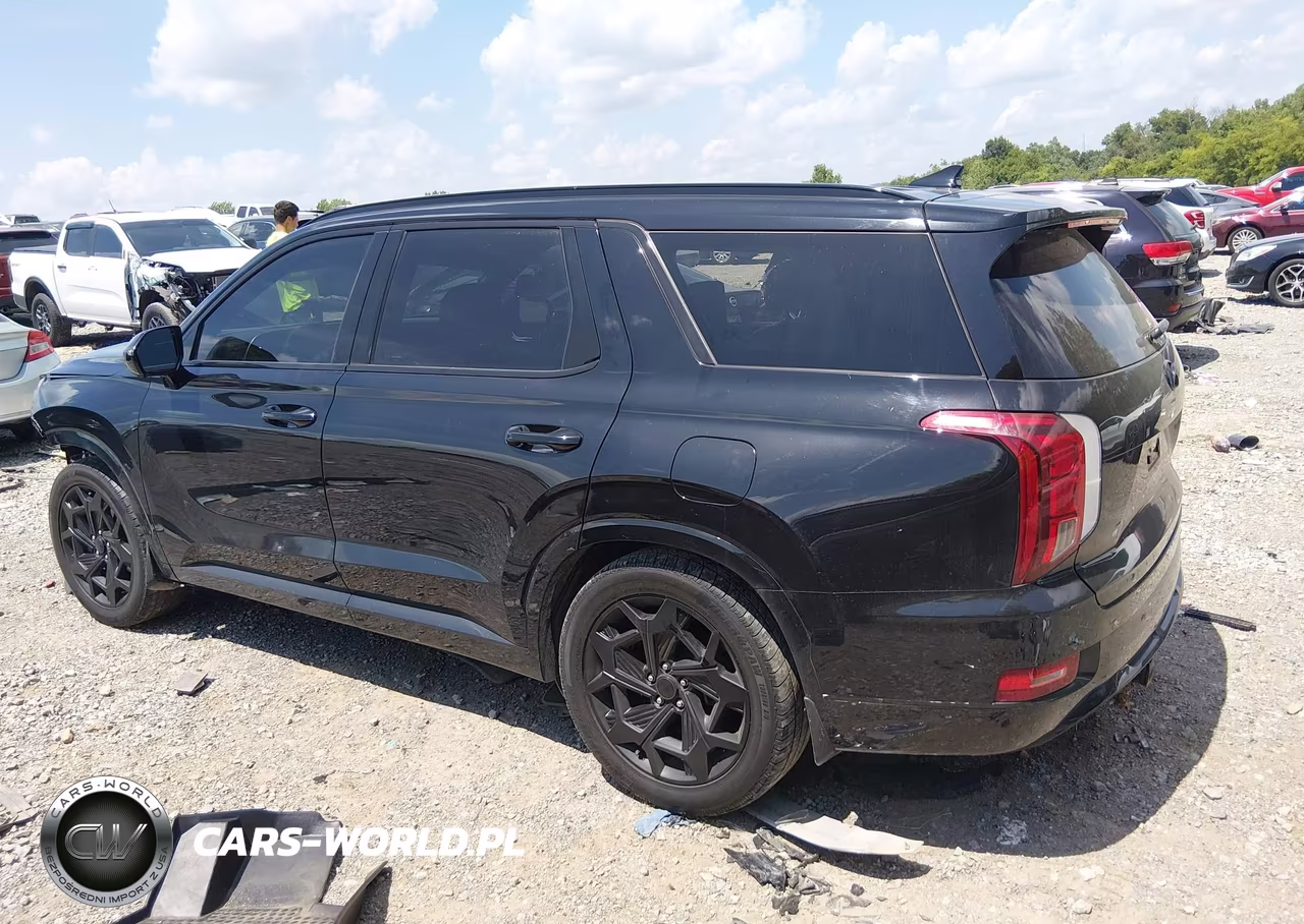 2021 Hyundai Palisade Calligraphy VIN:KM8R7DHEXMU195125 - 14