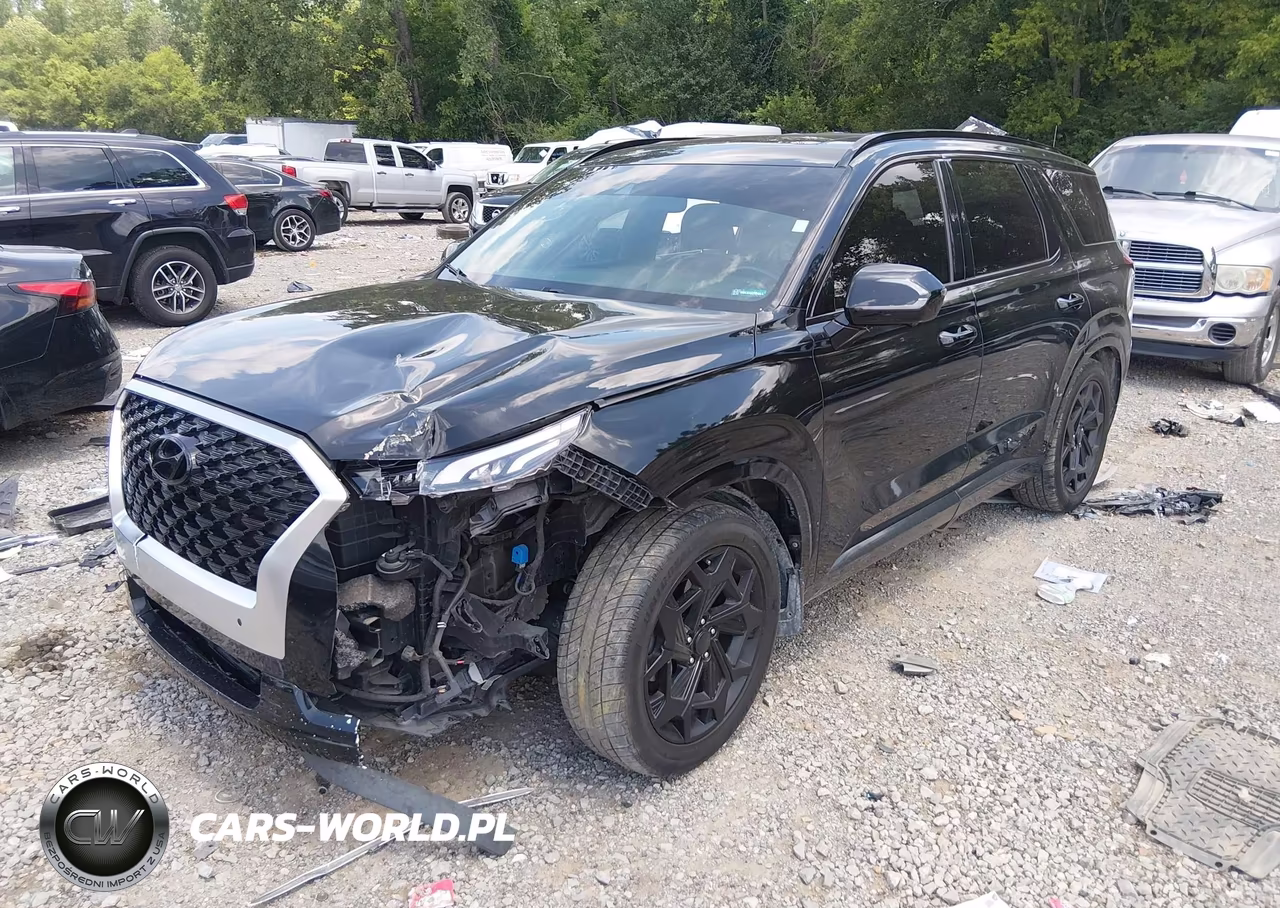 2021 Hyundai Palisade Calligraphy VIN:KM8R7DHEXMU195125 - 2