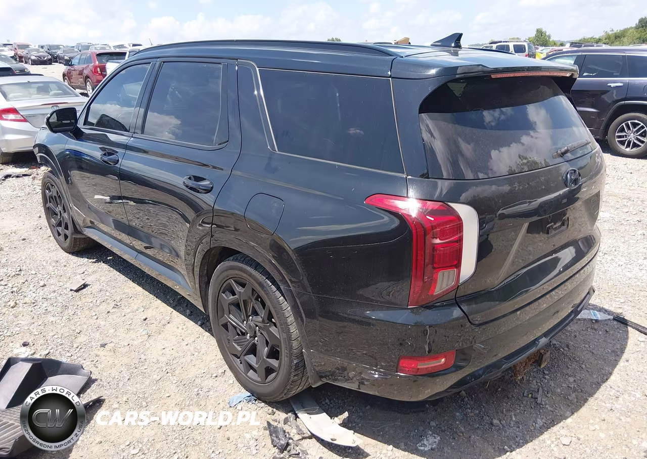2021 Hyundai Palisade Calligraphy VIN:KM8R7DHEXMU195125 - 3
