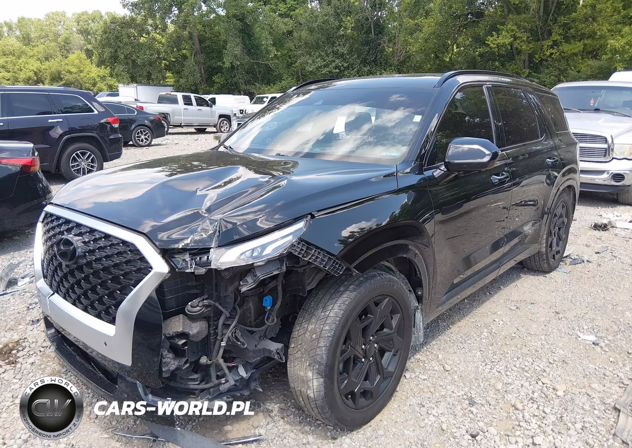 2021 Hyundai Palisade Calligraphy VIN:KM8R7DHEXMU195125 - 6