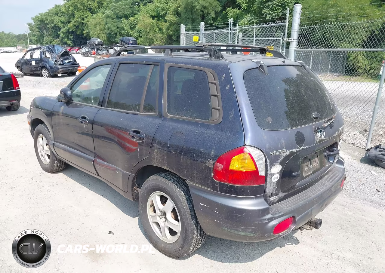 2004 Hyundai Santa Fe Gls VIN:KM8SC73D14U715760 - 3