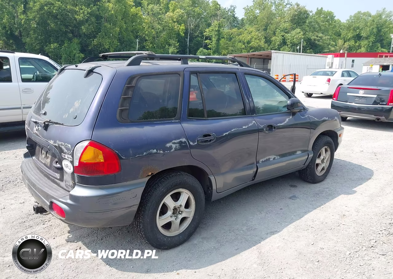 2004 Hyundai Santa Fe Gls VIN:KM8SC73D14U715760 - 4