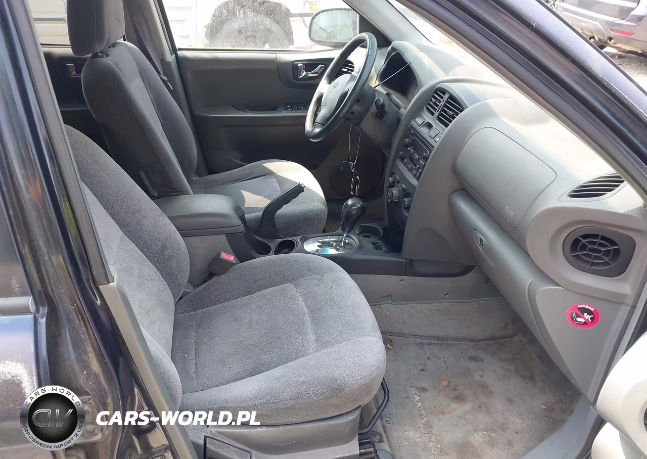 2004 Hyundai Santa Fe Gls VIN:KM8SC73D14U715760 - 5