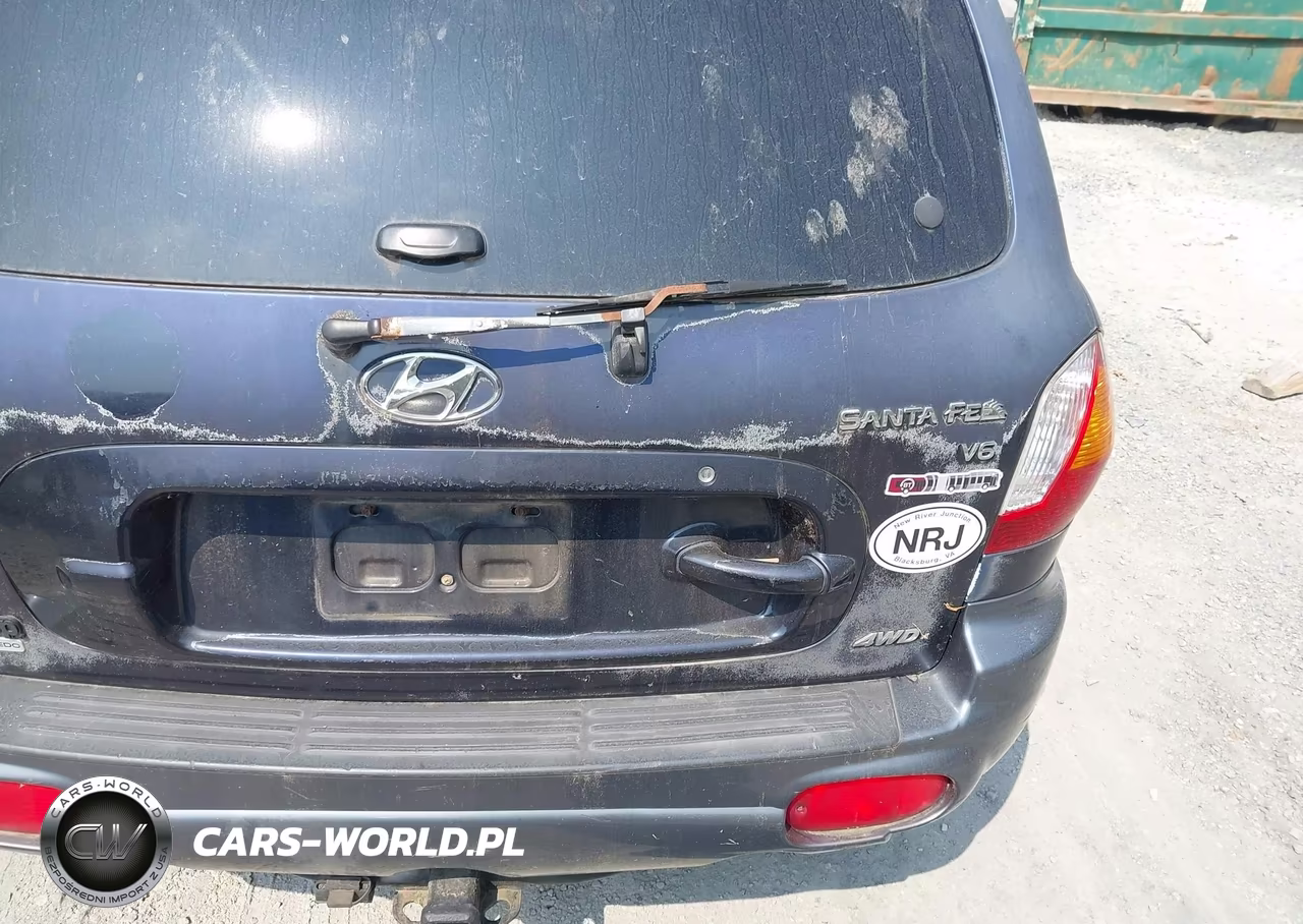 2004 Hyundai Santa Fe Gls VIN:KM8SC73D14U715760 - 6