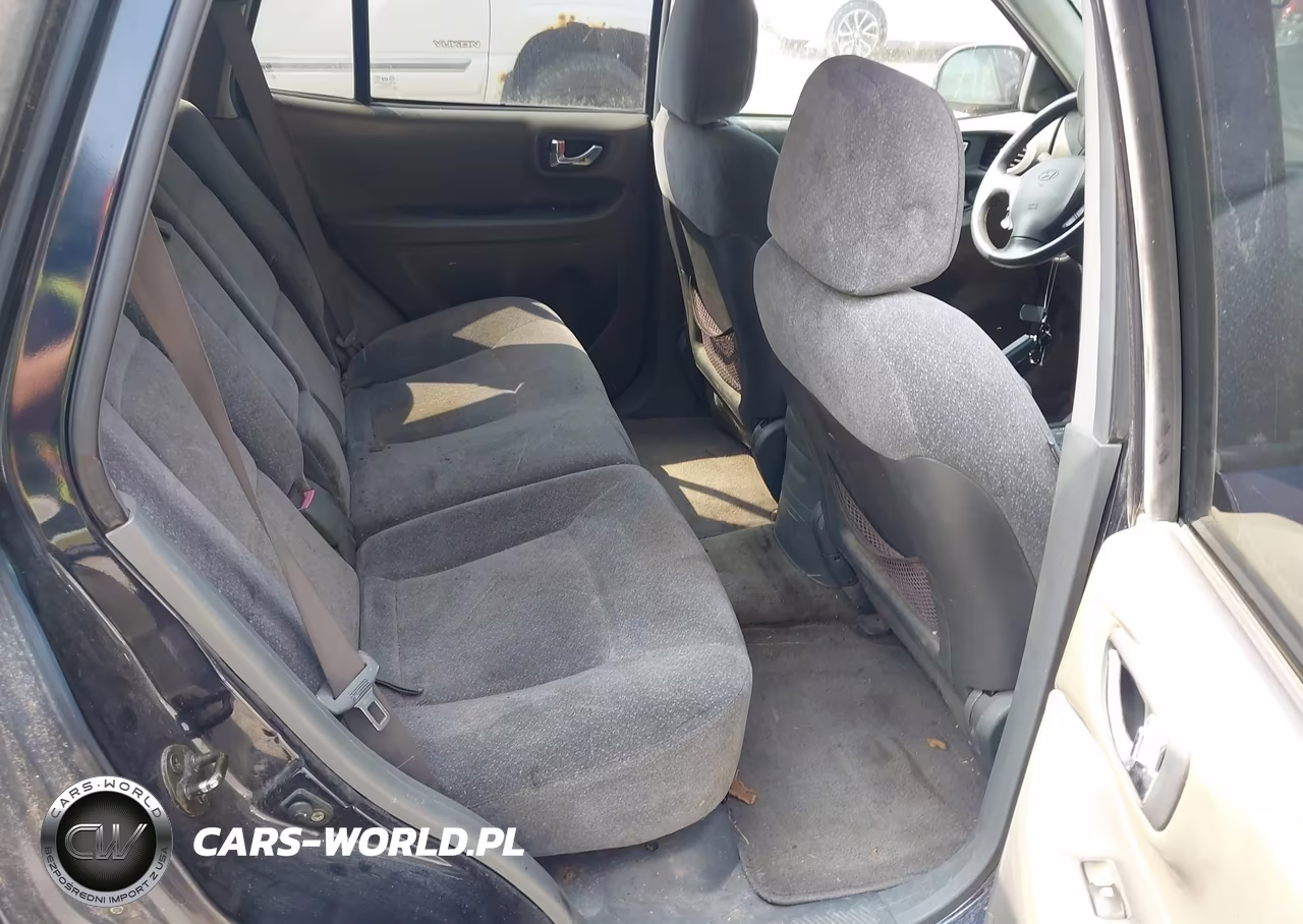 2004 Hyundai Santa Fe Gls VIN:KM8SC73D14U715760 - 8