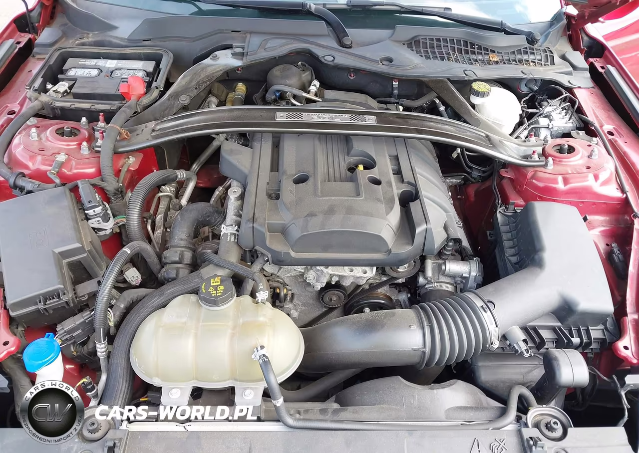 2020 Ford Mustang Ecoboost Fastback VIN:1FA6P8TD2L5189234 - 10