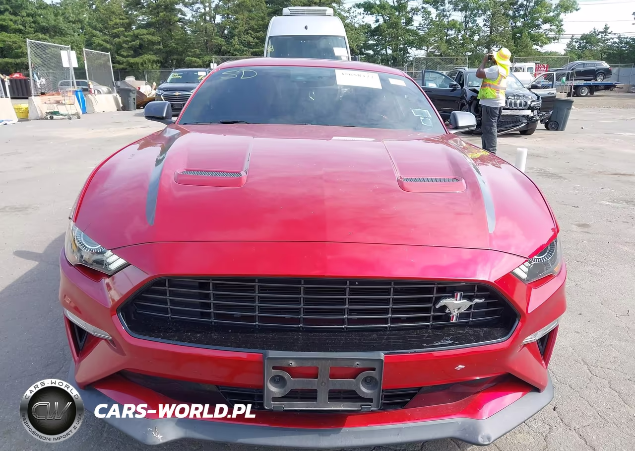 2020 Ford Mustang Ecoboost Fastback VIN:1FA6P8TD2L5189234 - 12
