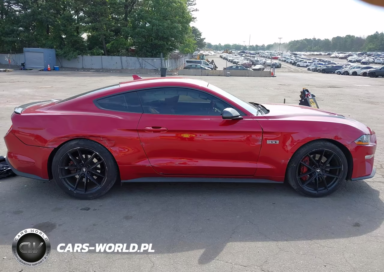 2020 Ford Mustang Ecoboost Fastback VIN:1FA6P8TD2L5189234 - 13