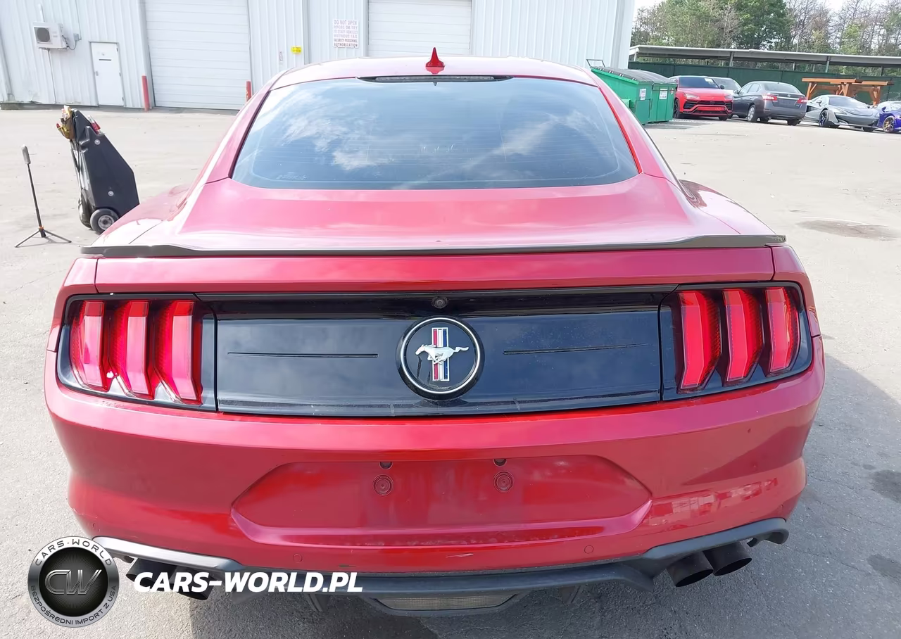 2020 Ford Mustang Ecoboost Fastback VIN:1FA6P8TD2L5189234 - 16
