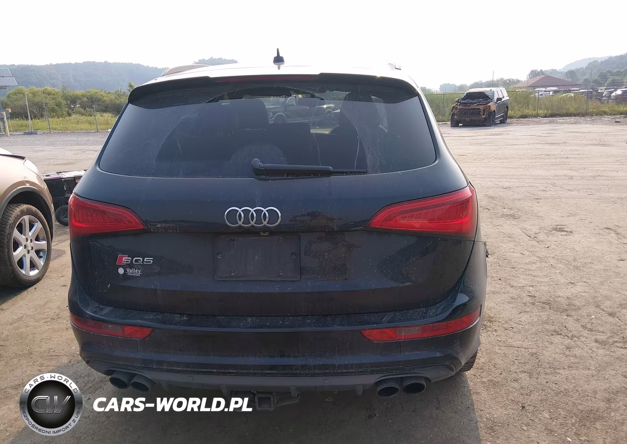 2015 Audi Sq5 3.0T Premium Plus VIN:WA1CGAFP0FA136399 - 17