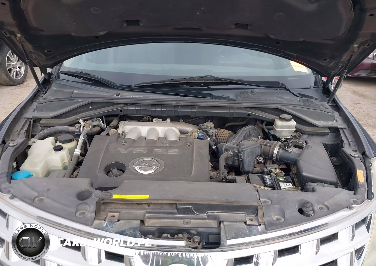 2003 Nissan Murano Se VIN:JN8AZ08T73W113684 - 10