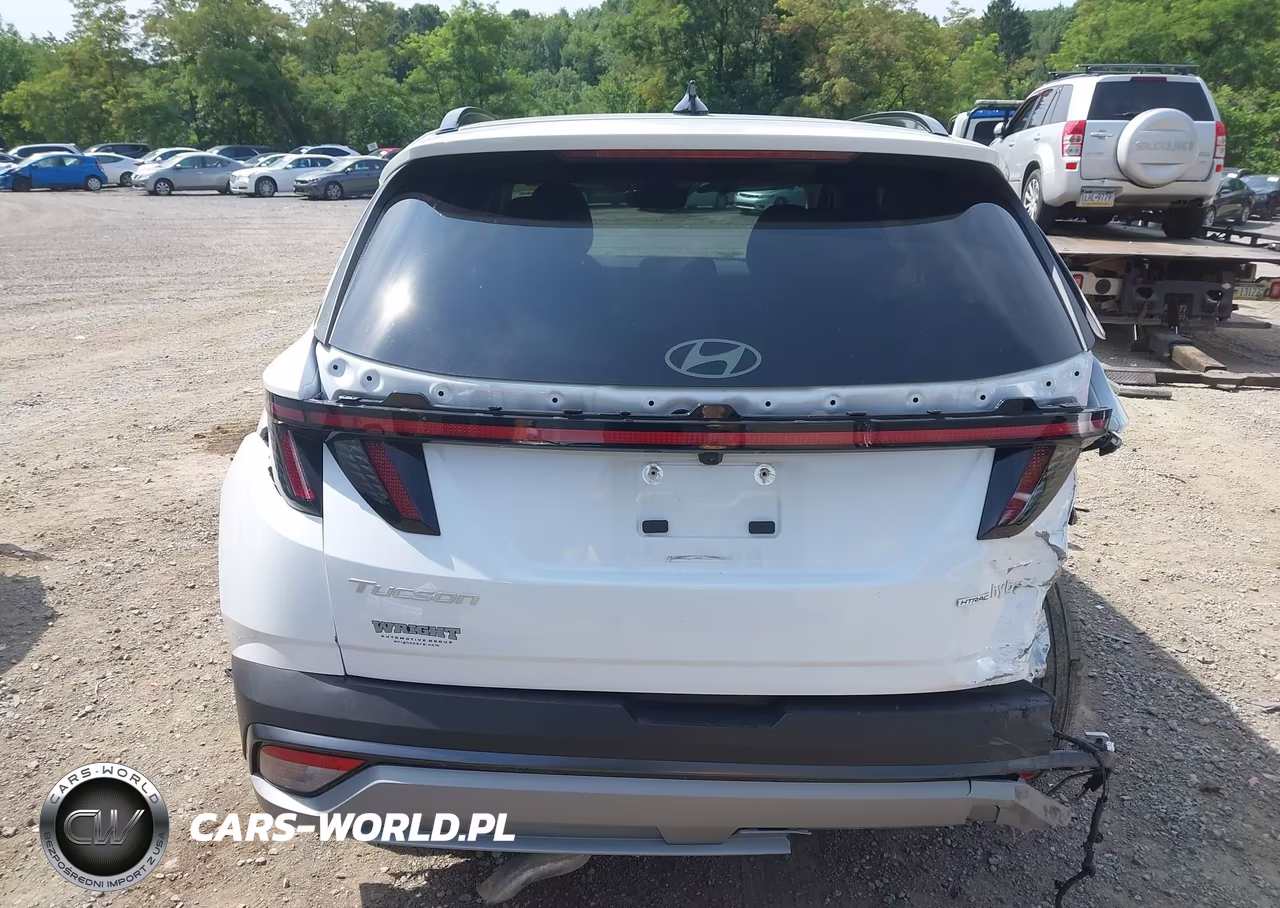 2025 Hyundai Tucson Hybrid Sel Convenience VIN:KM8JCDD11SU390491 - 16