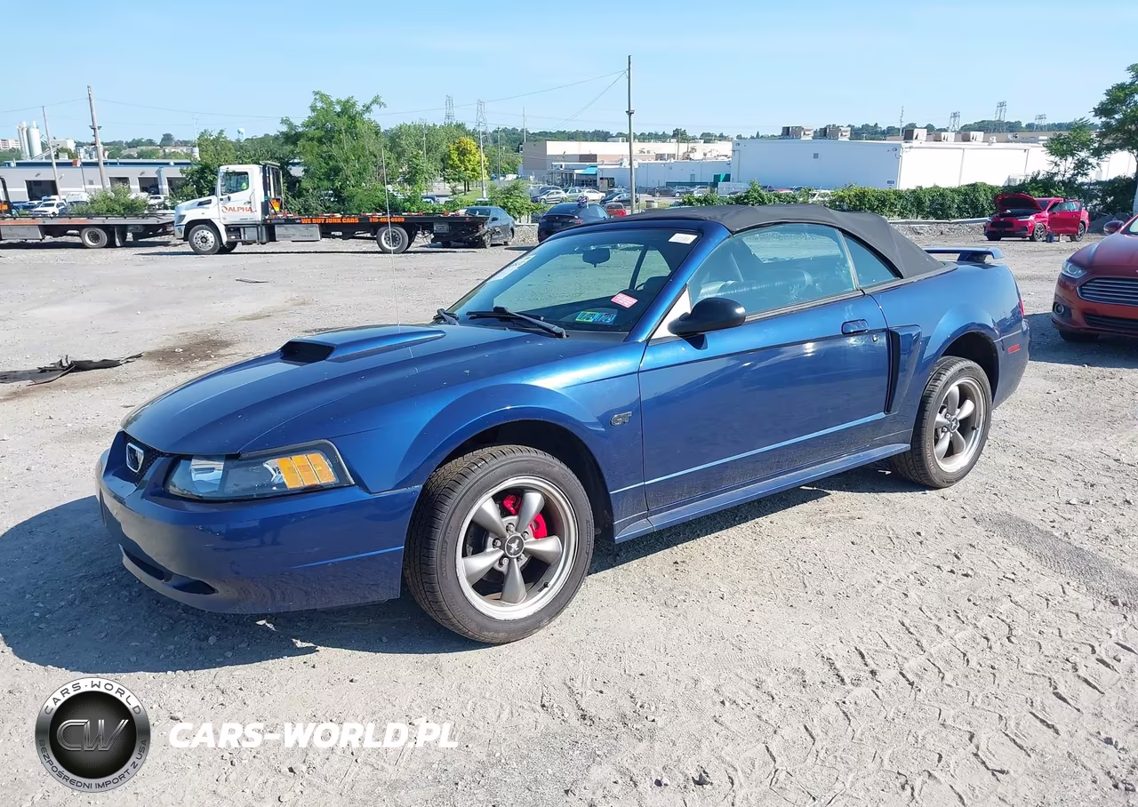 2003 Ford Mustang Gt VIN:1FAFP45X13F404712 - 2