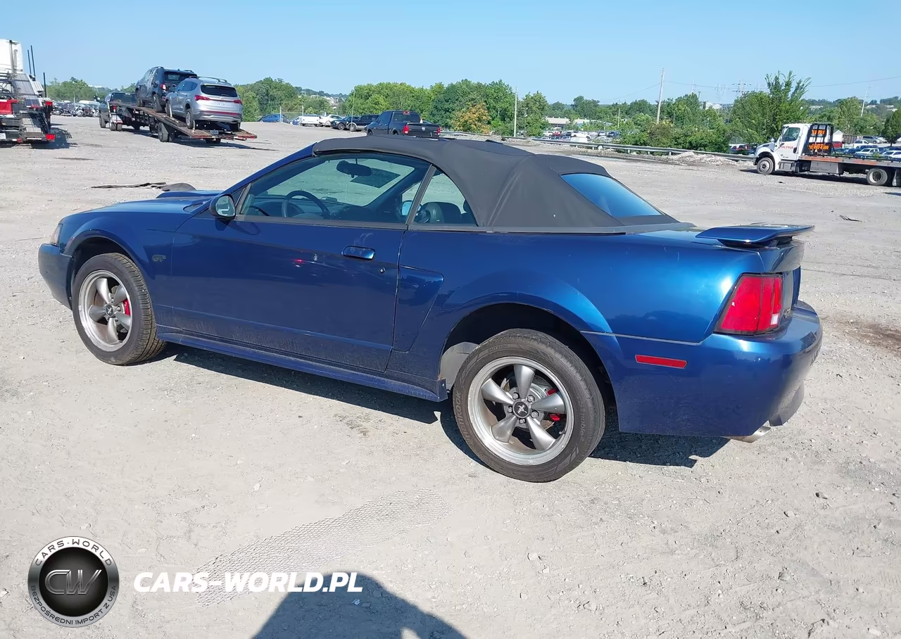 2003 Ford Mustang Gt VIN:1FAFP45X13F404712 - 3