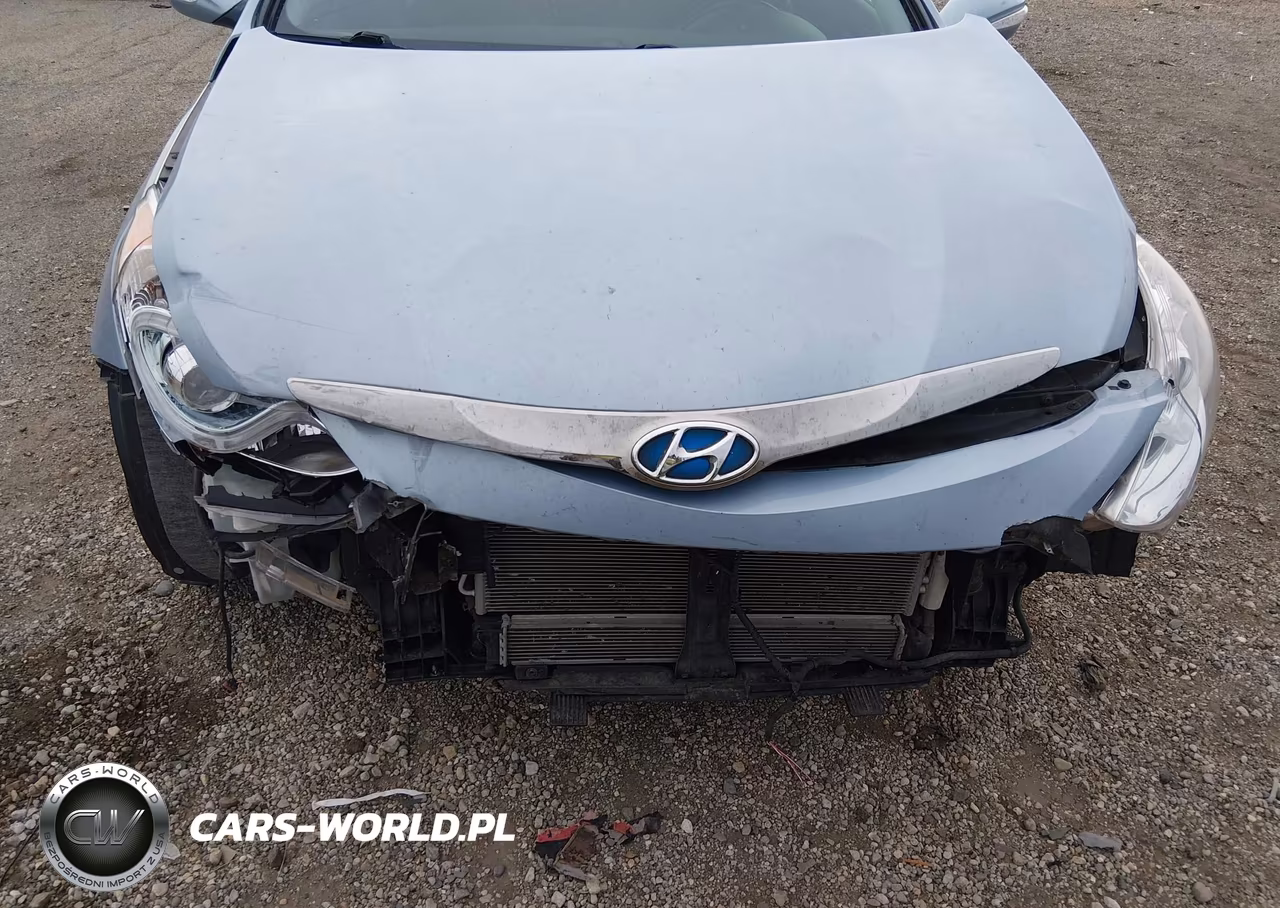 2011 Hyundai Sonata Hybrid VIN:KMHEC4A45BA011039 - 6