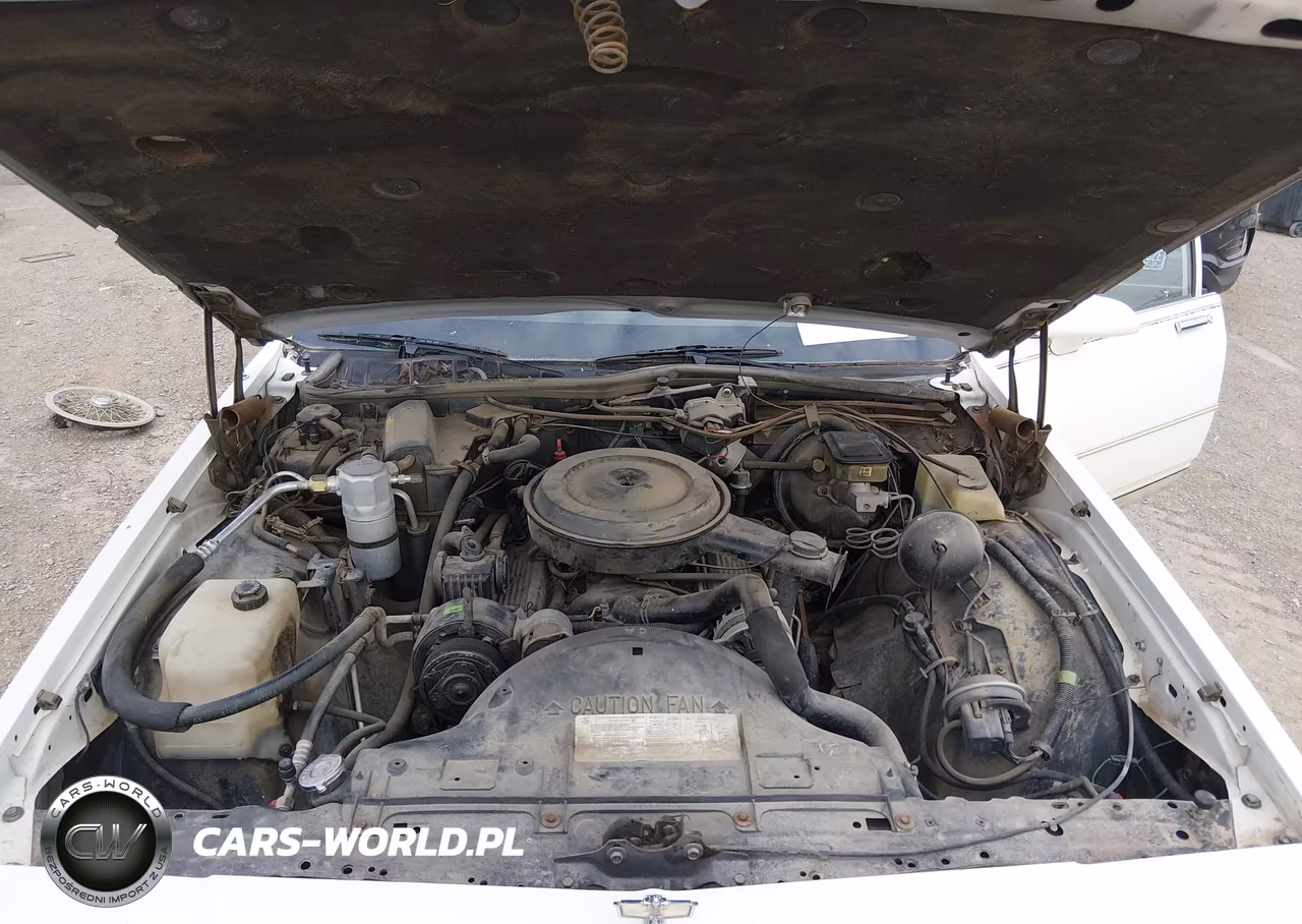 1989 Chevrolet Caprice Classic Brougham VIN:1G1BU51E3KA142062 - 10