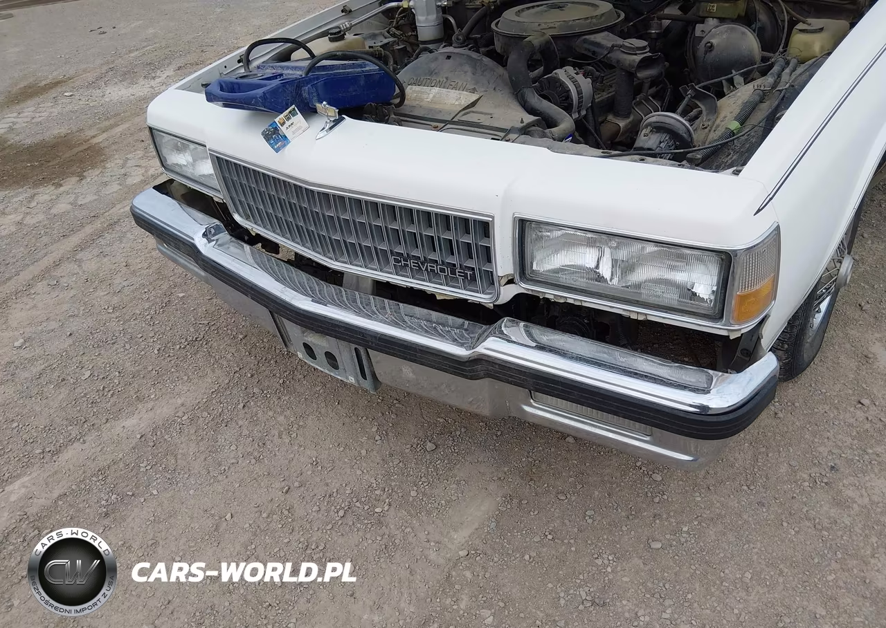 1989 Chevrolet Caprice Classic Brougham VIN:1G1BU51E3KA142062 - 15